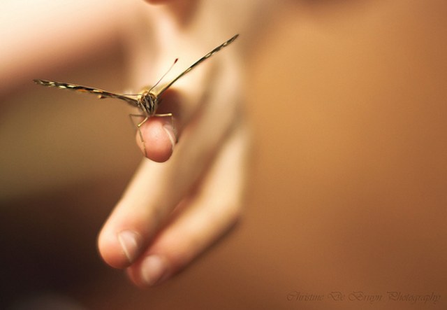 电话轰在线轰炸免费下载